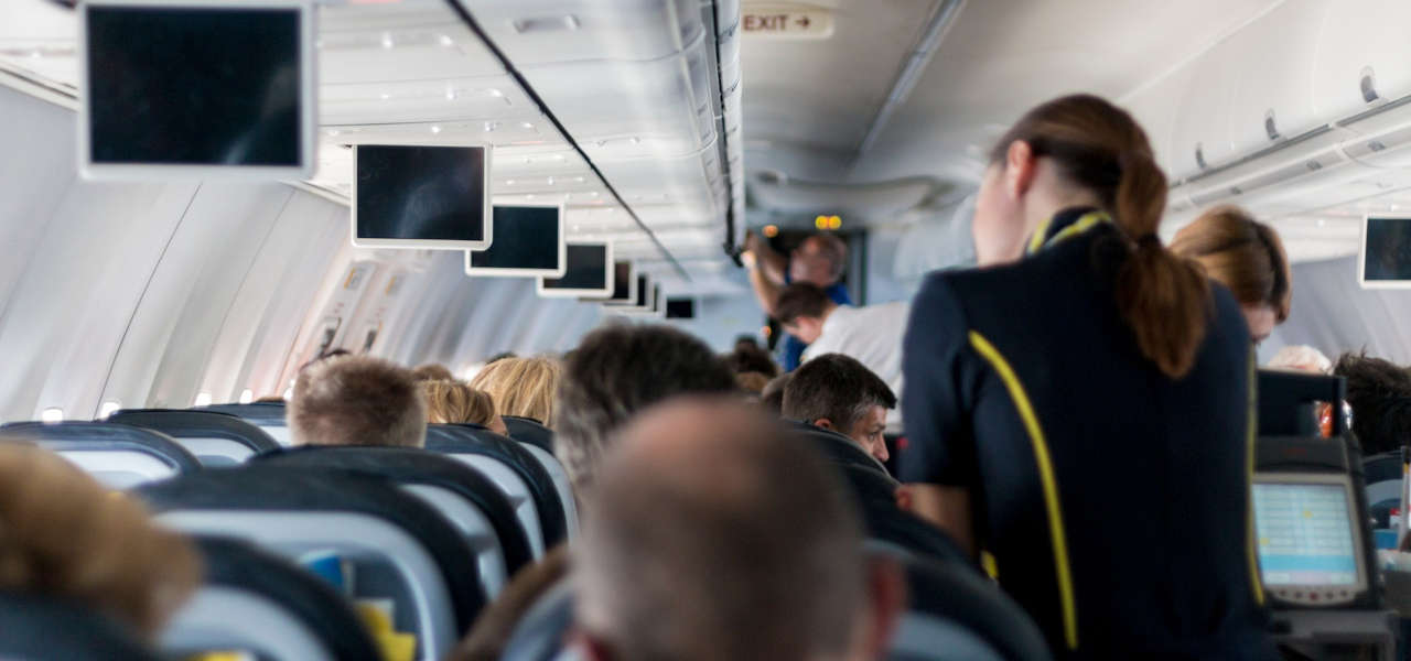 Ile zarabia stewardessa
