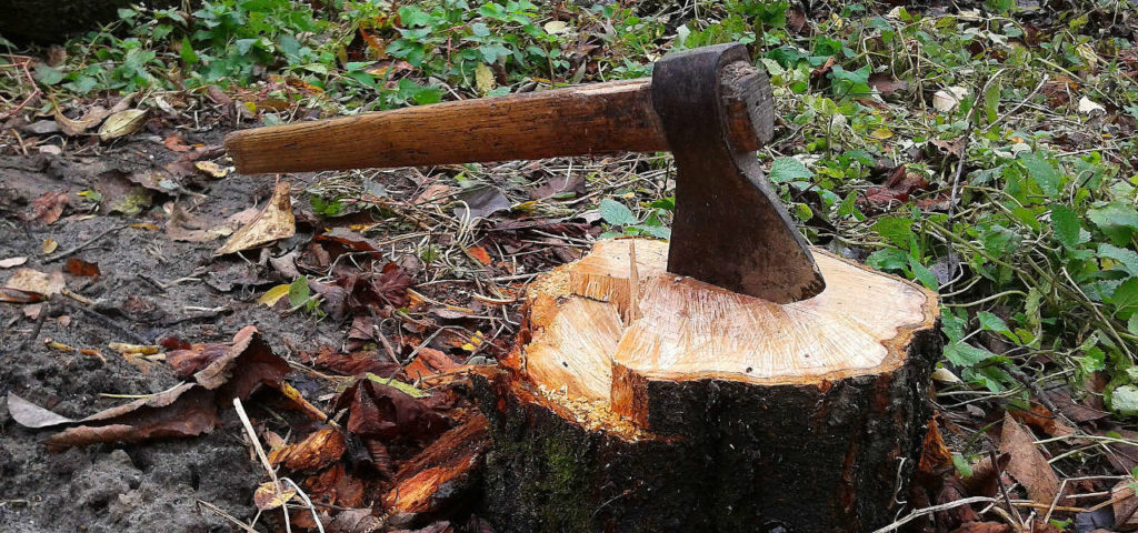 Jak rąbać drewno siekierą