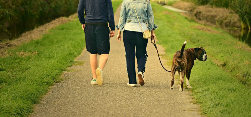 mandat za spacer z psem