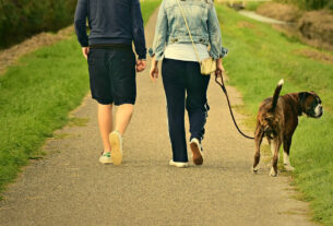 mandat za spacer z psem