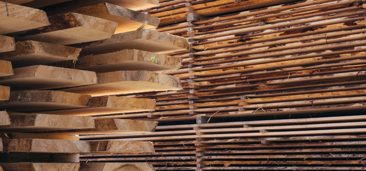 Maszyny do drewna - czego użyć do obróbki drewna? 