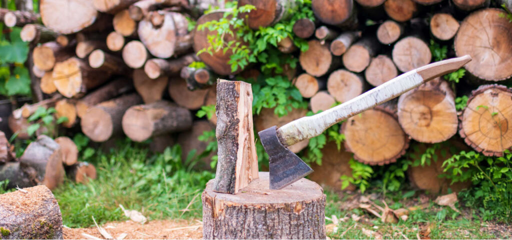 Ceny drewna opałowego 2023: ile kosztuje kubik drewna?